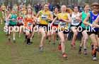 Womens Under-20s 2023 UK CAU Inter Counties Cross Country Champs, Prestwold Hall, Loughborough. Photo: David T. Hewitson/Sports for All Pics